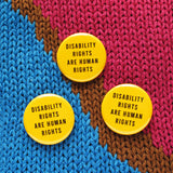 DISABILITY RIGHTS ARE HUMAN RIGHTS <br> Pinback Button